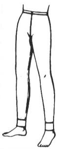 Scheda
