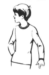 Scheda
